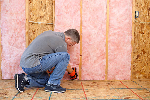 Best Geographic-Specific Insulation Services in Greenfield, IL